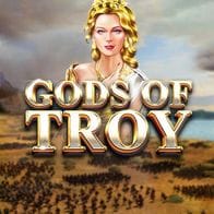 Gods Of Troy game cover