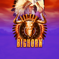 Little Big Horn game cover