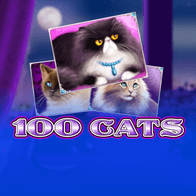 100 Cats game cover