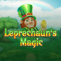 Leprechaun Goes Wild game cover